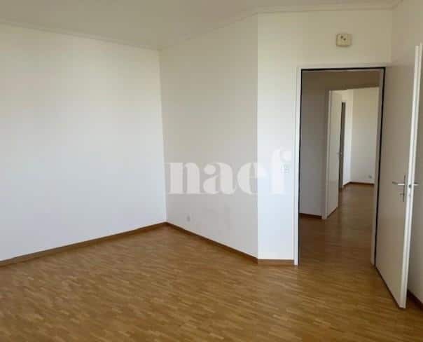 À louer : Appartement 6 Pieces Genève - Ref : 261042.14001 | Naef Immobilier