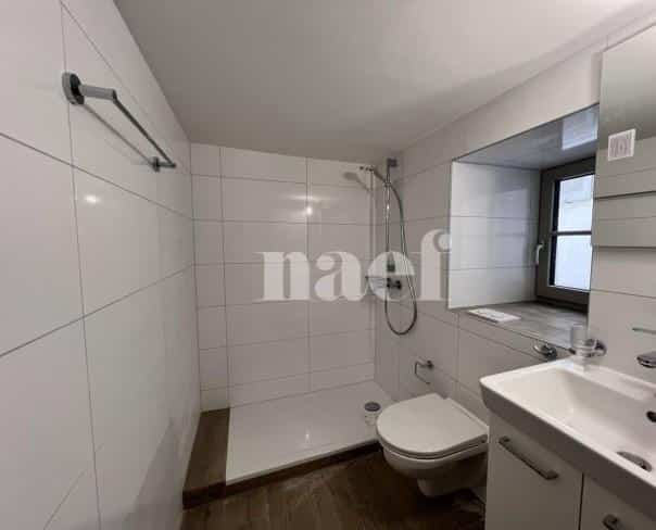 À louer : Appartement 1.5 Pieces Fribourg - Ref : 267015.1001 | Naef Immobilier