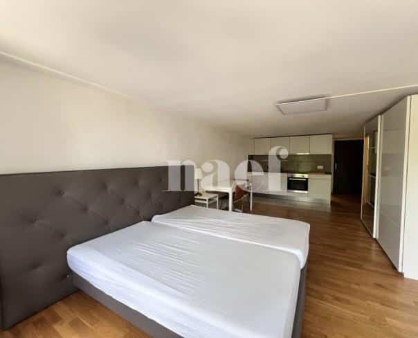 À louer : Appartement 1.5 Pieces Fribourg - Ref : 267021.2002 | Naef Immobilier