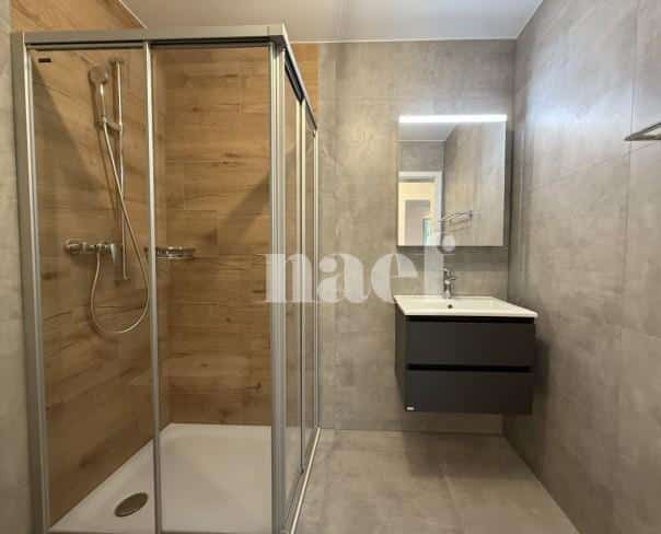 À louer : Appartement 3.5 Pieces St-Aubin FR - Ref : 267025.3 | Naef Immobilier