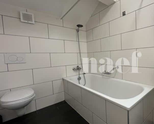 À louer : Appartement 5.5 Pieces Trey - Ref : 267031.5 | Naef Immobilier