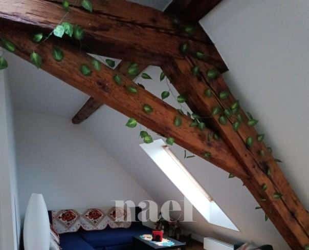 À louer : Appartement 5 Pieces Genève - Ref : 268523.6602 | Naef Immobilier