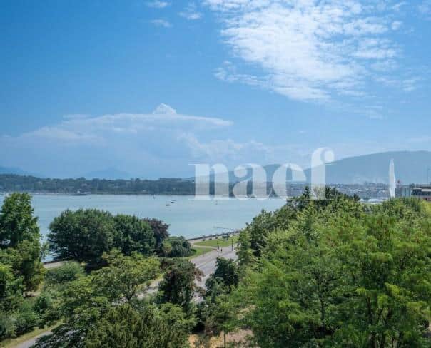 À louer : Appartement 9 Pieces Genève - Ref : 268575.5051 | Naef Immobilier
