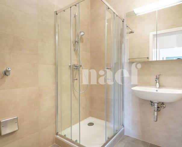 À louer : Appartement 9 Pieces Genève - Ref : 268575.5051 | Naef Immobilier