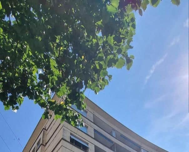 À louer : Parking  Genève - Ref : 268582.61003 | Naef Immobilier