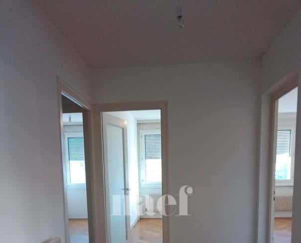 À louer : Appartement 5 Pieces Genève - Ref : 269160.3032 | Naef Immobilier