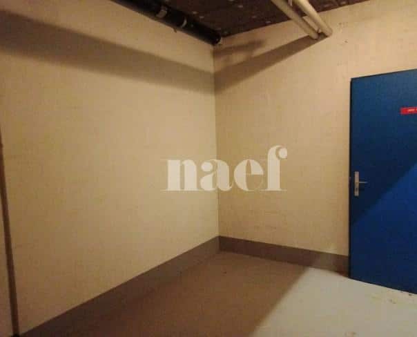 À louer : Dépôt Genève - Ref : 269161.51101 | Naef Immobilier