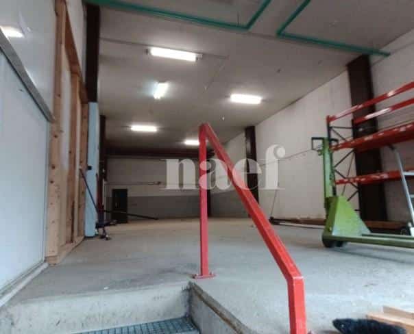 À louer : Dépôt Meyrin - Ref : 269190.113 | Naef Immobilier