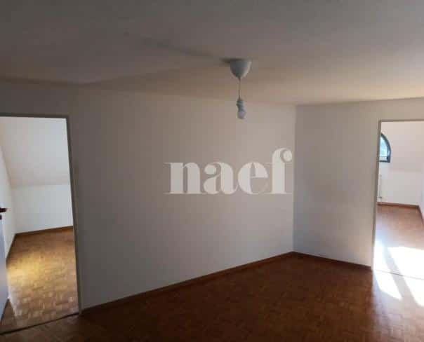 À louer : Appartement 6 Pieces Genève - Ref : 269245.6061 | Naef Immobilier