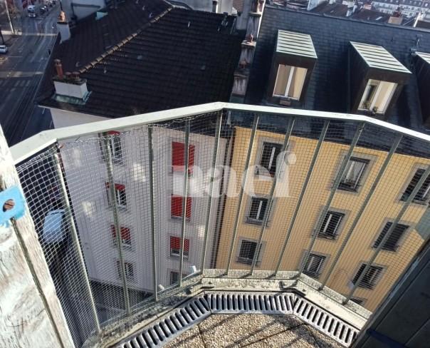 À louer : Appartement 6 Pieces Genève - Ref : 269245.6061 | Naef Immobilier