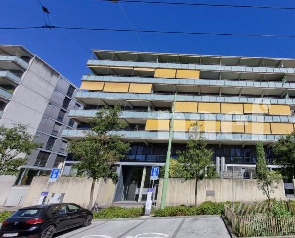 À louer : Appartement 5 Pieces Le Grand-Saconnex - Ref : 269271.3032 | Naef Immobilier