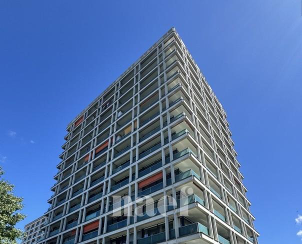 À louer : Surface Commerciale Bureau Petit-Lancy - Ref : 269305.2 | Naef Immobilier