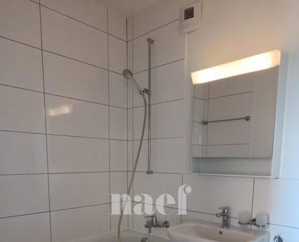 À louer : Appartement 3 Pieces Le Lignon - Ref : 269592.12001 | Naef Immobilier