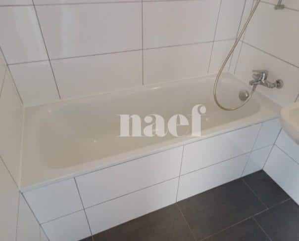 À louer : Appartement 3 Pieces Le Lignon - Ref : 269592.12001 | Naef Immobilier