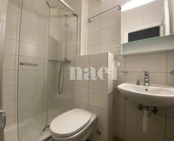À louer : Appartement 2 Pieces La Chaux-de-Fonds - Ref : 276304.2003 | Naef Immobilier