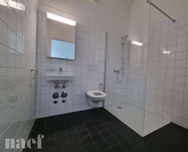 À louer : Appartement 3 Pieces Le Locle - Ref : 276325.1004 | Naef Immobilier