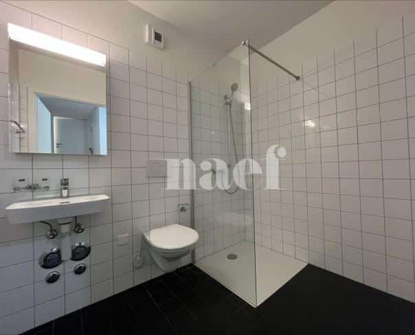 À louer : Appartement 3 Pieces Le Locle - Ref : 276325.1 | Naef Immobilier