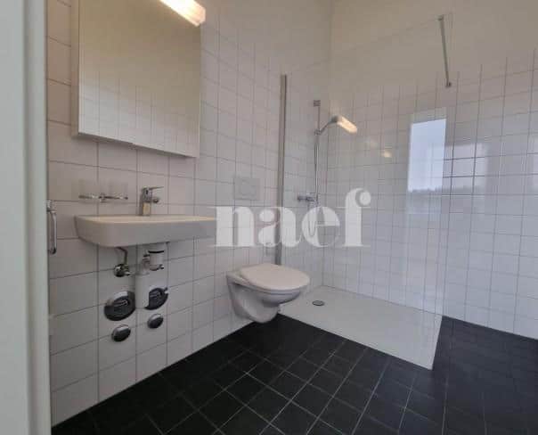 À louer : Appartement 2 Pieces Le Locle - Ref : 276325.2003 | Naef Immobilier