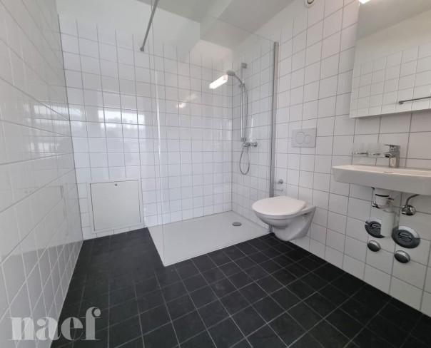À louer : Appartement 2 Pieces Le Locle - Ref : 276325.3 | Naef Immobilier