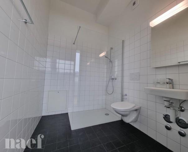 À louer : Appartement 2 Pieces Le Locle - Ref : 276325.7 | Naef Immobilier