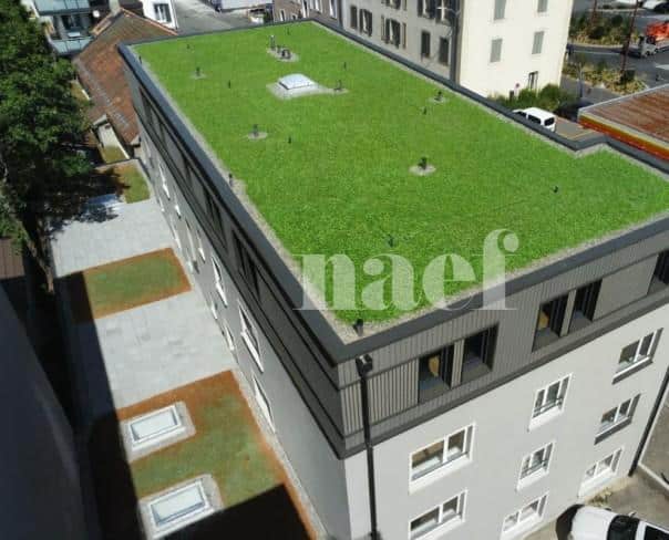 À louer : Appartement 5 Pieces La Chaux-de-Fonds - Ref : 276352.2002 | Naef Immobilier