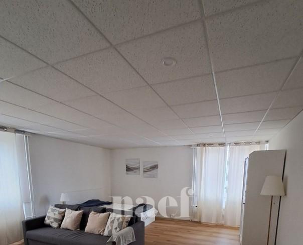 À louer : Appartement 2 Pieces La Chaux-de-Fonds - Ref : 276361.6004 | Naef Immobilier
