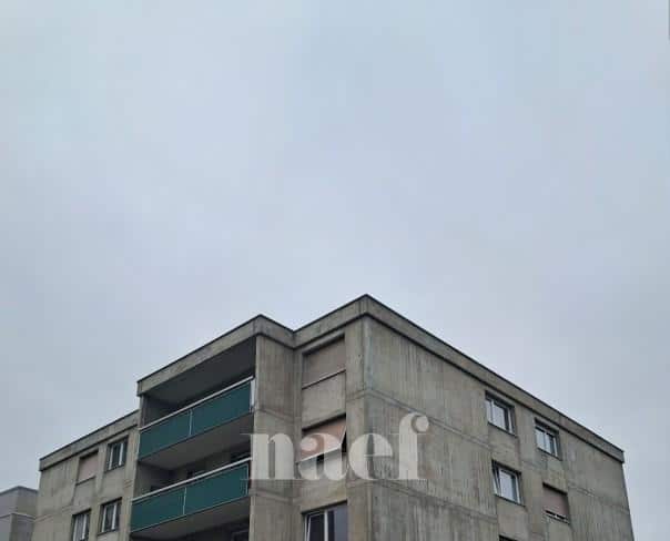 À louer : Parking  La Chaux-de-Fonds - Ref : 276365.61007 | Naef Immobilier