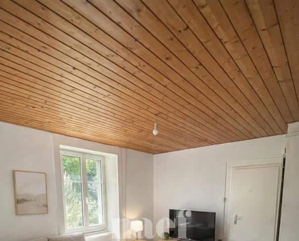 À louer : Appartement 4.5 Pieces Le Locle - Ref : 276369.3001 | Naef Immobilier