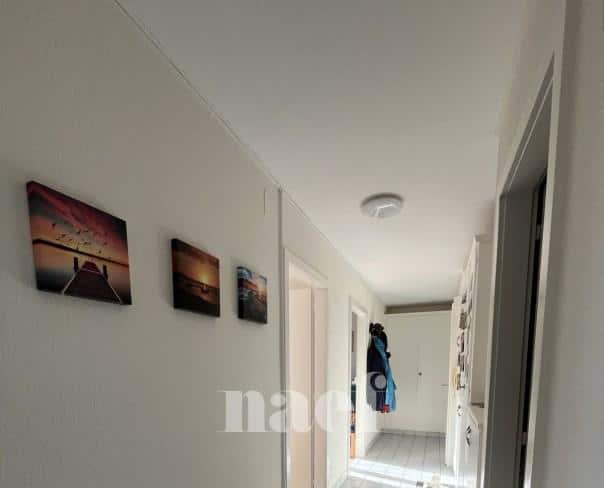 À louer : Appartement 3 Pieces Porrentruy - Ref : 276923.2004 | Naef Immobilier