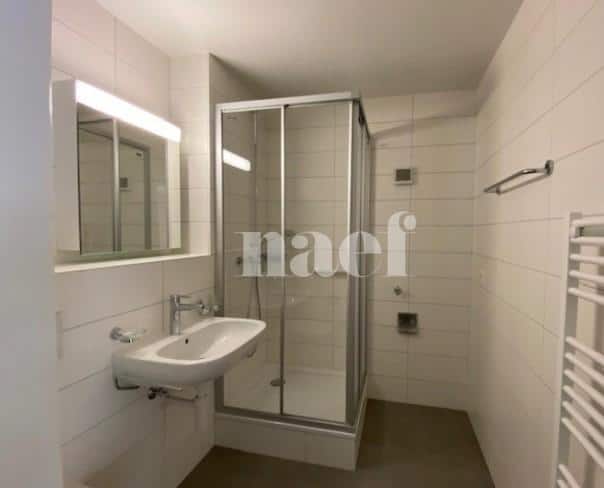 À louer : Appartement 3.5 Pieces La Chaux-de-Fonds - Ref : 278001.5002 | Naef Immobilier