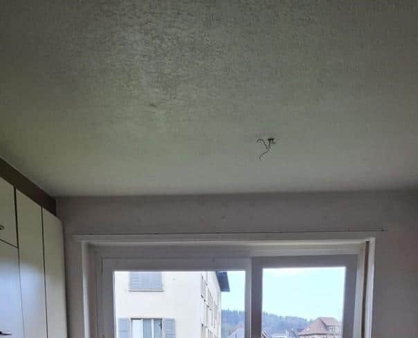 À louer : Appartement 3.5 Pieces La Chaux-de-Fonds - Ref : 278013.3002 | Naef Immobilier