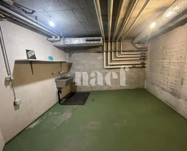 À louer : Surface Commerciale Atelier Nyon - Ref : 280971.81001 | Naef Immobilier
