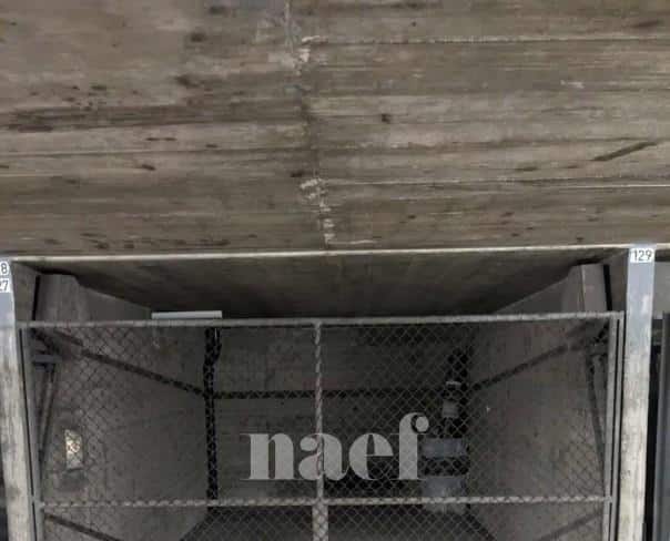 À louer : Parking  Genève - Ref : 284504.61128 | Naef Immobilier