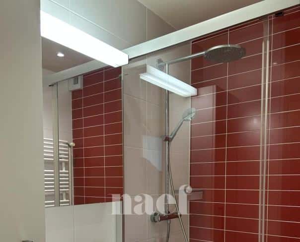 À louer : Appartement 2 Pieces Genève - Ref : 284506.3035 | Naef Immobilier