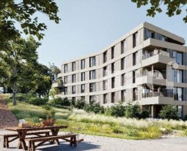 À louer : Appartement 1 Pieces Crissier - Ref : 299037.1 | Naef Immobilier