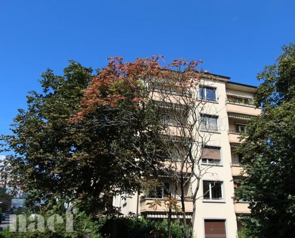 À louer : Appartement 1.5 Pieces Lausanne - Ref : 299541.35 | Naef Immobilier