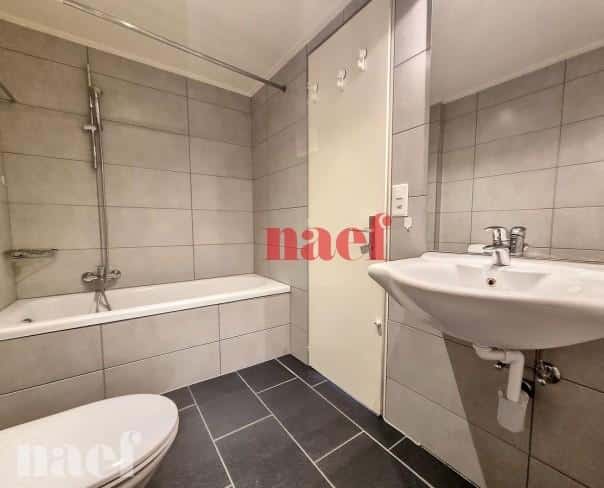 À louer : Appartement 2 Pieces Lausanne - Ref : 299550.3020 | Naef Immobilier
