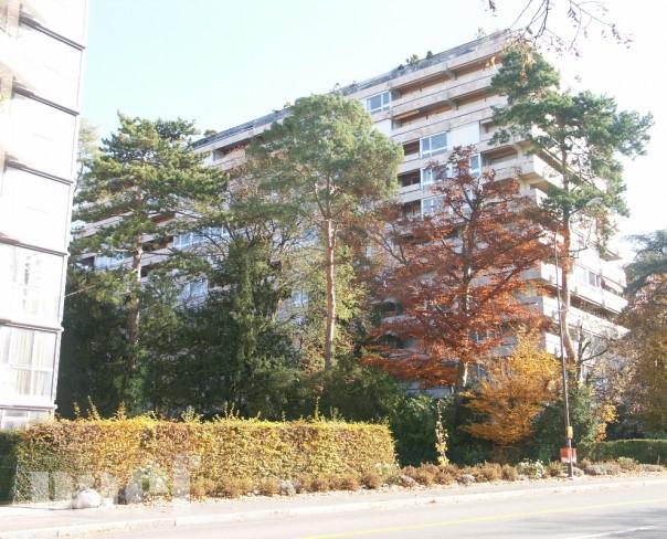À louer : Parking couvert Genève - Ref : 44824 | Naef Immobilier