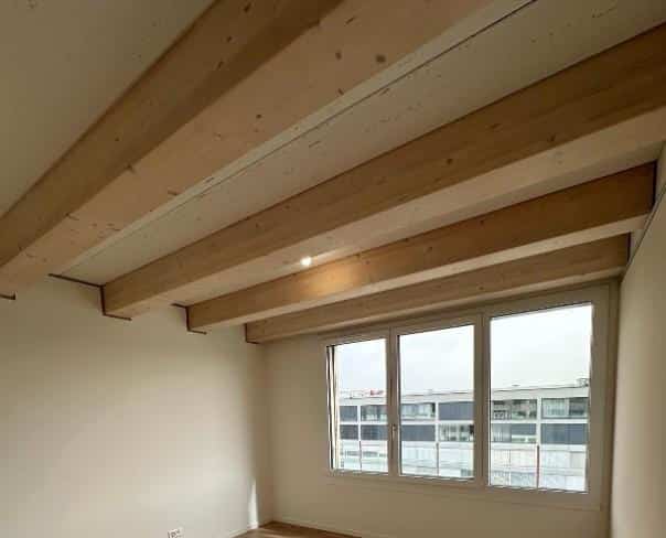 À louer : Appartement 5 Pieces Meyrin - Ref : 47688 | Naef Immobilier
