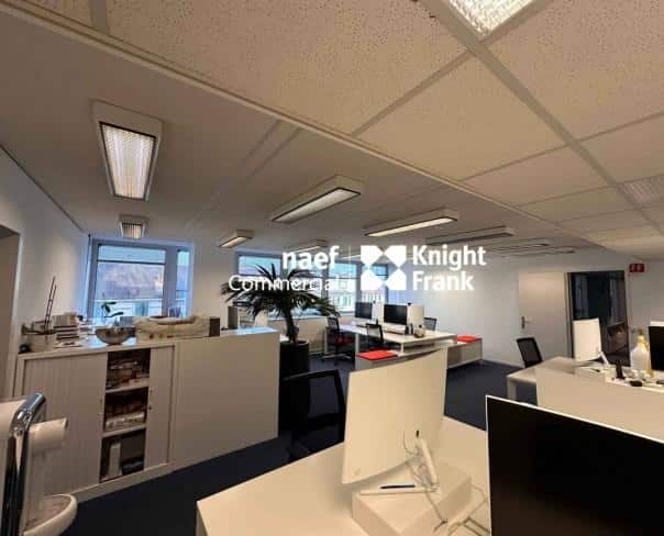 À louer : Surface Commerciale Bureau Genève - Ref : CP.19597 | Naef Immobilier