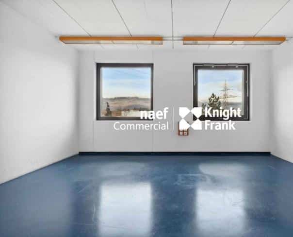 À louer : Surface Commerciale Atelier Meyrin - Ref : CP.20168 | Naef Immobilier