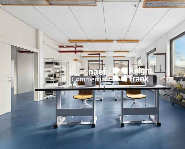 À louer : Surface Commerciale Atelier Meyrin - Ref : CP.20168 | Naef Immobilier