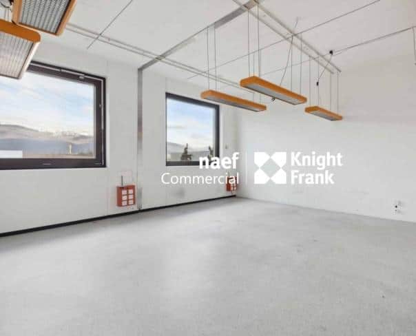 À louer : Surface Commerciale Atelier Meyrin - Ref : CP.20168 | Naef Immobilier