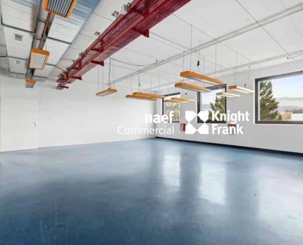 À louer : Surface Commerciale Atelier Meyrin - Ref : CP.20168 | Naef Immobilier
