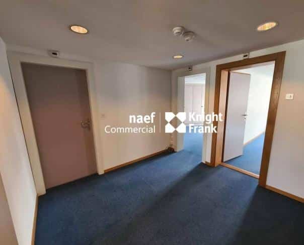 À louer : Surface Commerciale Bureau Genève - Ref : CP.20323 | Naef Immobilier