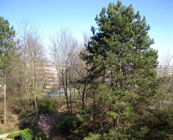 À louer : Appartement 2 Pieces Le Grand-Saconnex - Ref : CP.25979 | Naef Immobilier