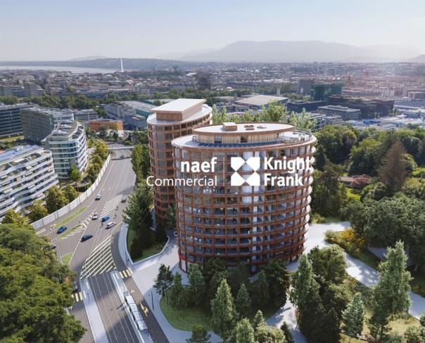 À louer : Surface Commerciale Bureau Petit-Lancy - Ref : EC.36021 | Naef Immobilier