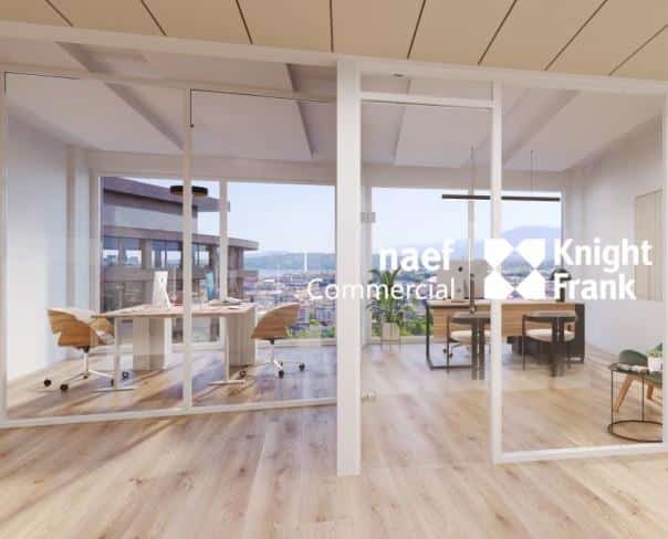 À louer : Surface Commerciale Bureau Petit-Lancy - Ref : EC.36021 | Naef Immobilier