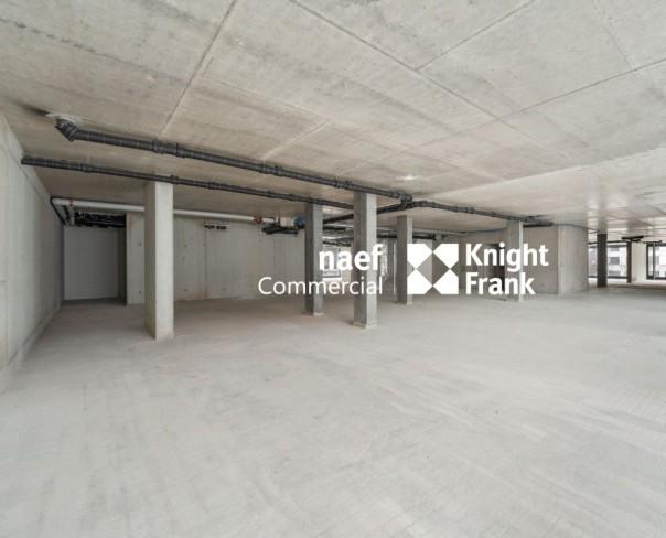 À louer : Surface Commerciale Bureau Genève - Ref : EC.37646 | Naef Immobilier