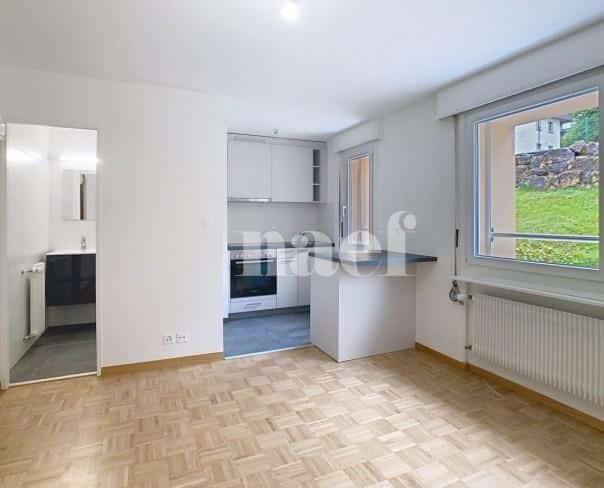 À louer : Appartement 1 Pieces Jongny - Ref : EC.38085 | Naef Immobilier